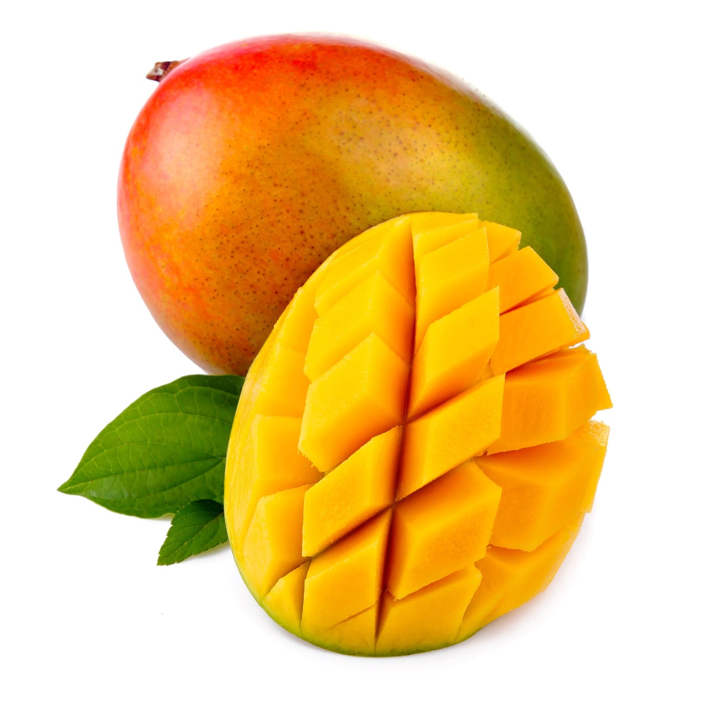Elephants - Mango Slices exotischer Genuss á 425 g Dose